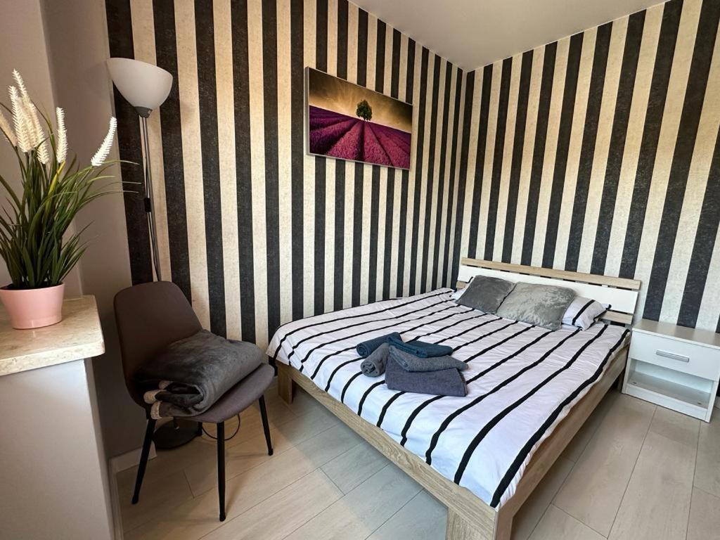 Premium Centrum 900M Targi Kielce 4 Km Eksteriør billede